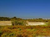 Parco della Camargue Immagine 105